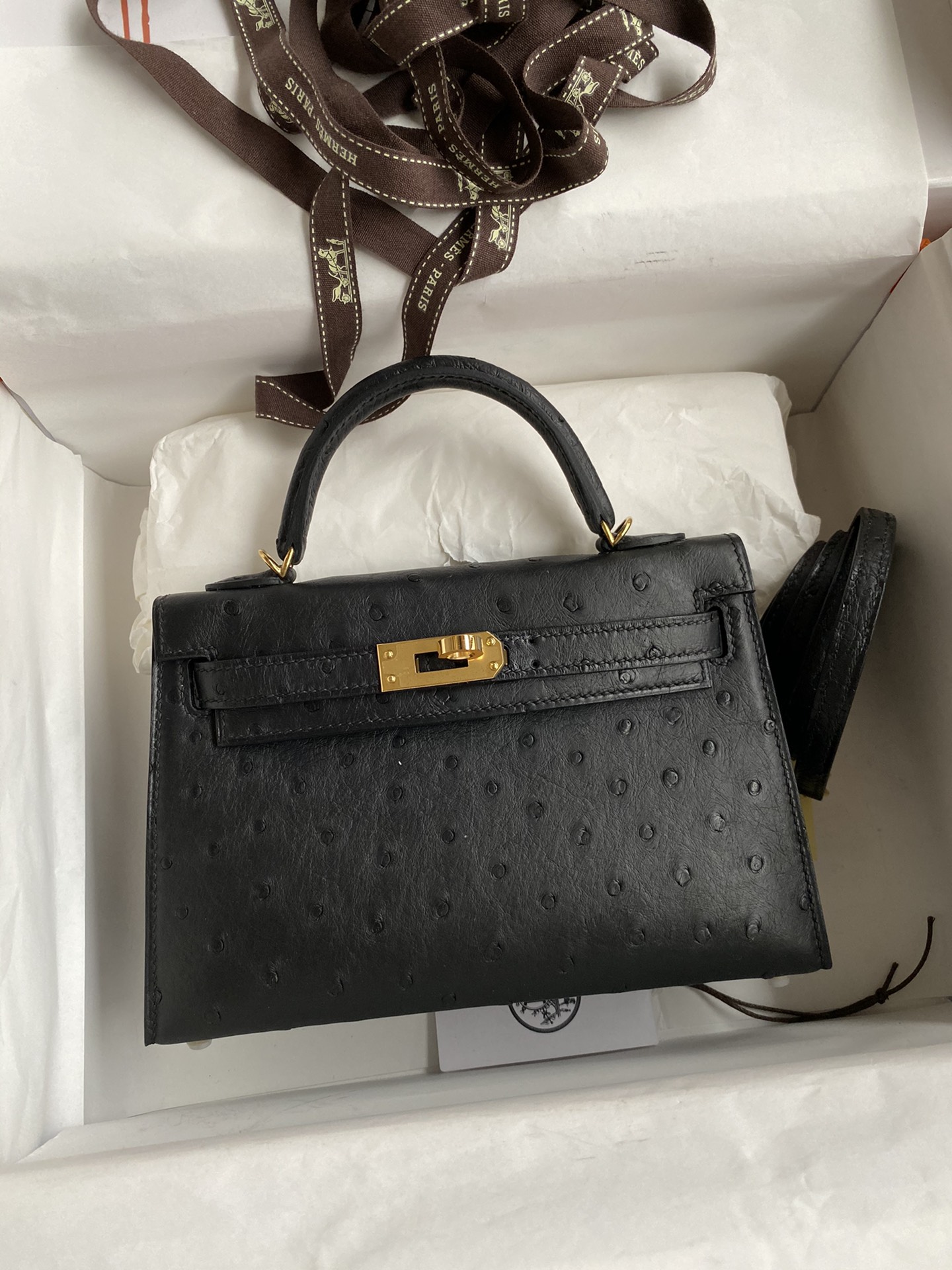 Hermes Kelly Mini II Bag 19CM In Black Ostrich Leather